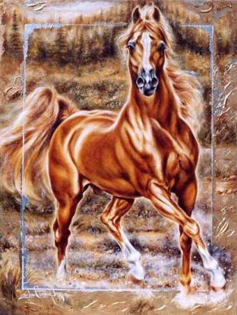 №206086 - лошади, кони - оригинал