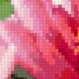 Предпросмотр схемы вышивки «Три лилии» (№206172)