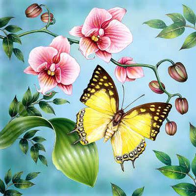 Бабочка с орхидеей - цветы, орхидея, бабочка - оригинал