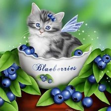 Оригинал схемы вышивки «Blueberry Kitten» (№206402)