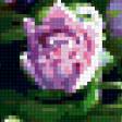 Предпросмотр схемы вышивки «сиреневые тюльпаны» (№206841)