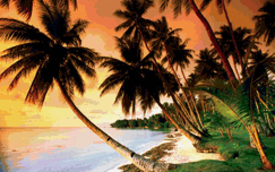 Пальмы в закате - лето, пальмы, закат, остров, романтика, море - предпросмотр