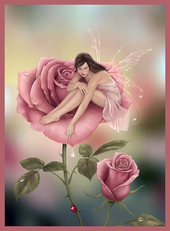 Фея на розе - цветок, роза, красота, фея - оригинал