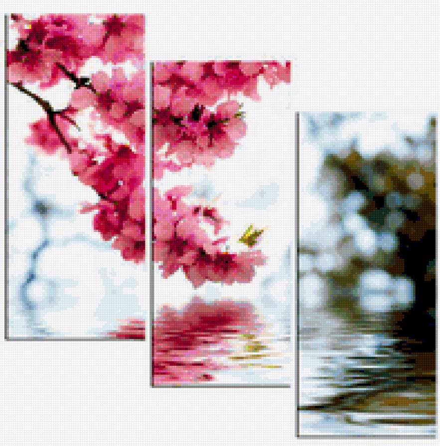 Сакура - ветка сакуры, сакура, цветущая сакура - предпросмотр
