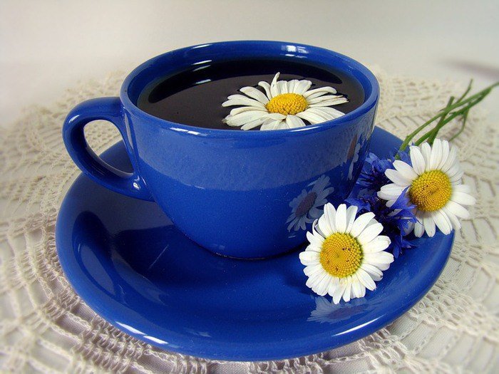 Чашка кофе - кофе, ромашки, чашка, синяя чашка - оригинал