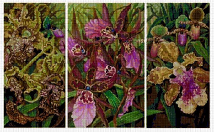 Орхидеи    (Триптих -общий вид) - орхидеи, диптих, цветы, триптих, орхидея, полиптих, букет - предпросмотр