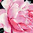 Предпросмотр схемы вышивки «розы» (№208995)