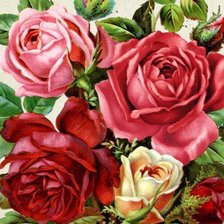 Оригинал схемы вышивки «розы» (№209048)
