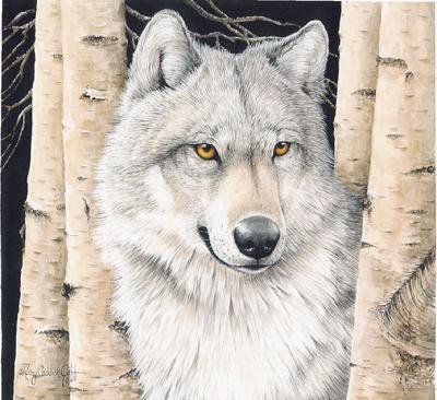волк - фауна, волки, картина, природа, животные - оригинал
