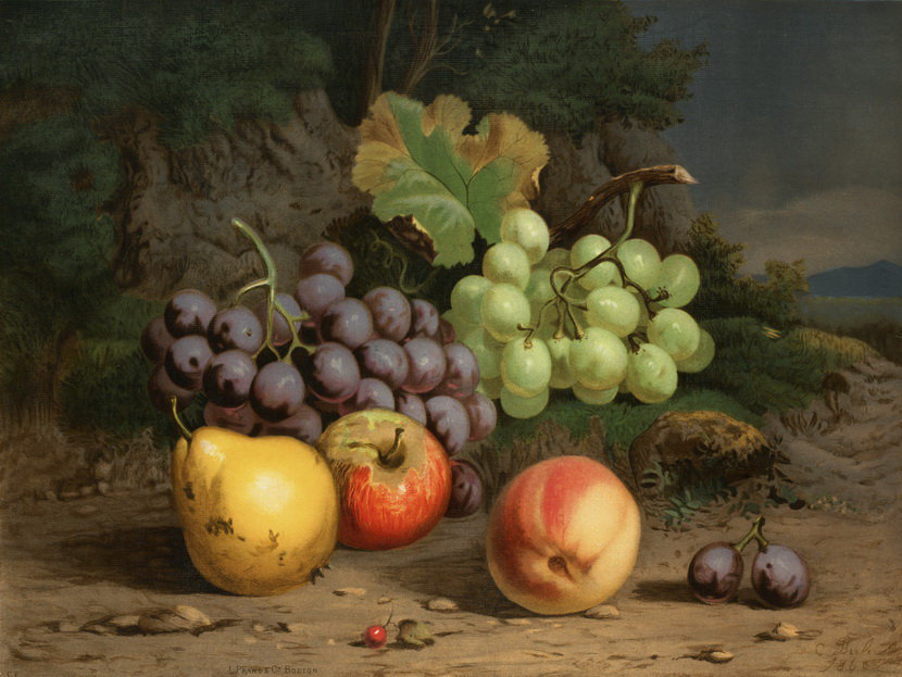 Louis Prang - фрукты, натюрморт - оригинал