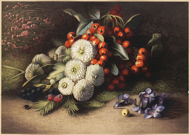 Louis Prang - ягоды, натюрморт, букет, цветы - оригинал