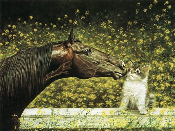 поцелуй - конь, кошка, котенок, поцелуй, лошадь - оригинал