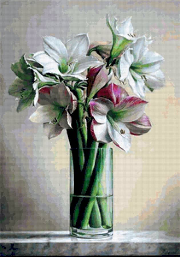 Букет Амарилисов - амарилис, букеты, цветы - предпросмотр