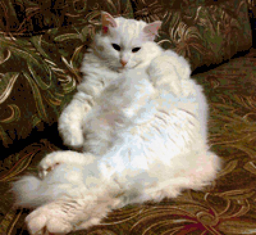 Федя - кот, белый кот, кошка - предпросмотр