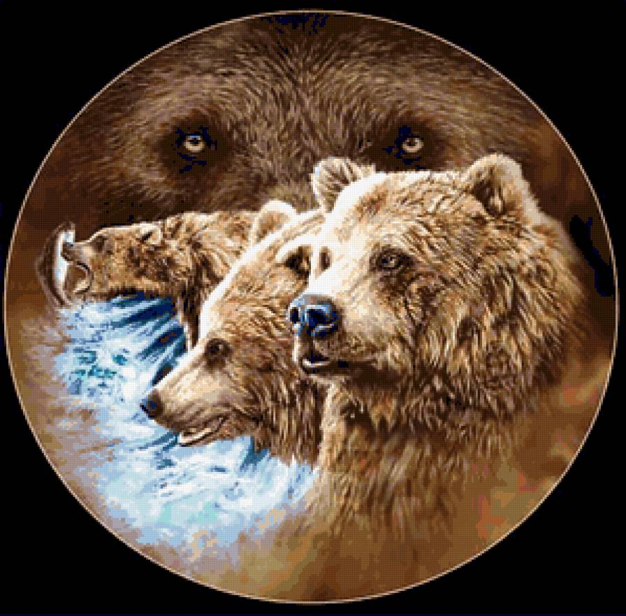 Медведи - животные, медведь, природа, медведи, звери, мишки - предпросмотр