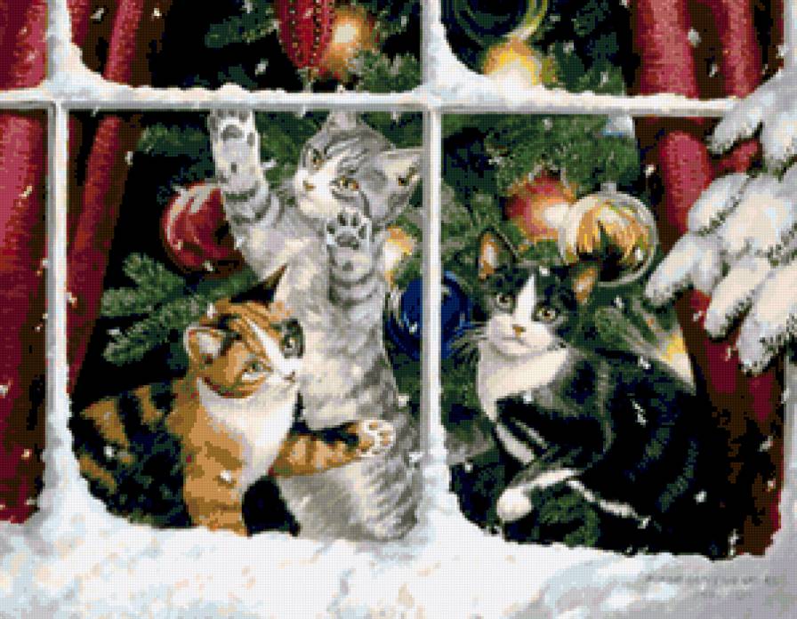 Котята у окна - новый год, елка, рождество, окно, котята, кошки, зима, кошка - предпросмотр