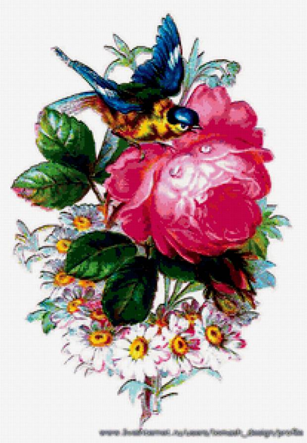 Птичка на розе - птицы, цветы, розы, живопись - предпросмотр