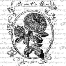 Оригинал схемы вышивки «роза» (№212983)