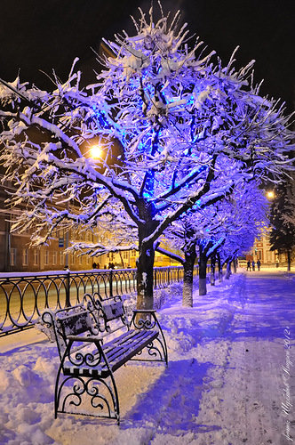 зимний вечер - зима, город, тишина, вечер, пейзаж, скамья, снег - оригинал
