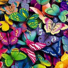 Схема вышивки «яркие бабочки»