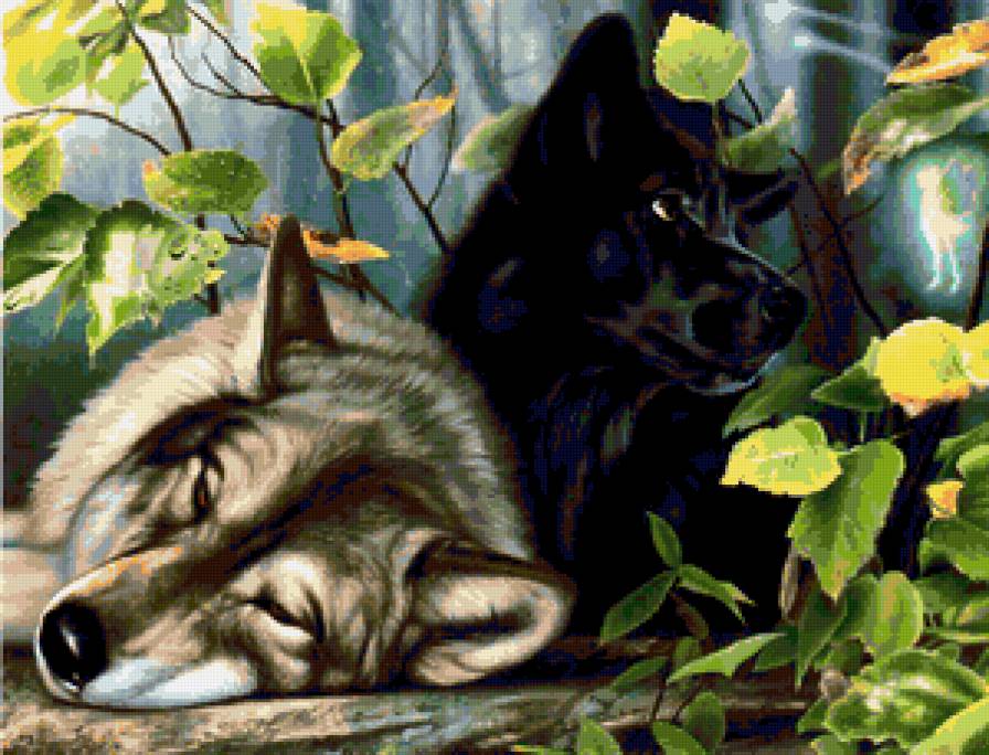 Волки и Фея - волк, волки, фантазия, животные, лес, природа, фея - предпросмотр