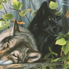 Схема вышивки «Волки и Фея»