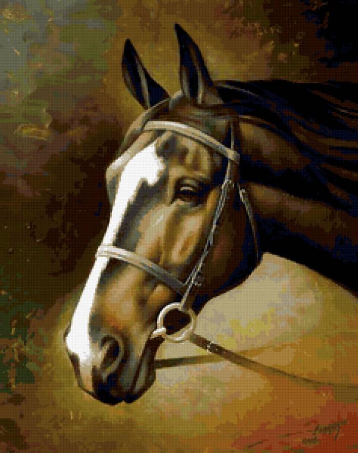 №214823 - лошадь, конь, животное - предпросмотр