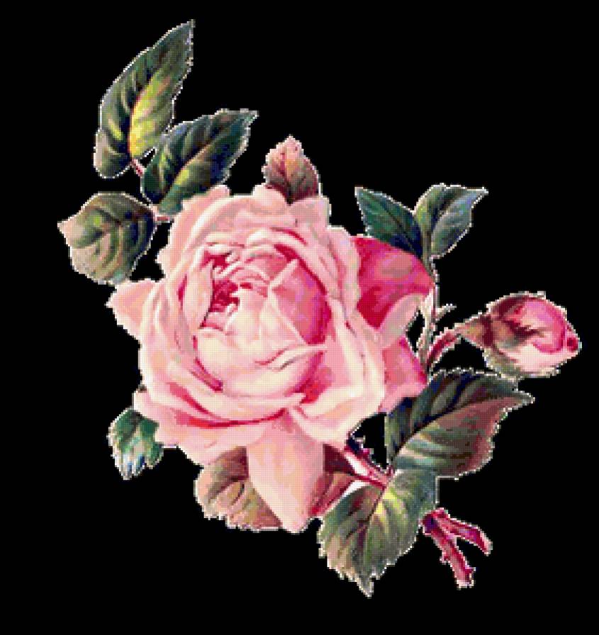 Розы - розы, цветы, декупаж, винтаж - предпросмотр