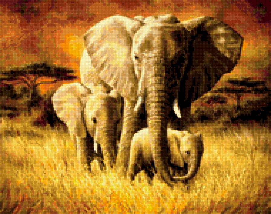 семейство слонов - предпросмотр