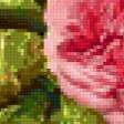 Предпросмотр схемы вышивки «цветы» (№215728)