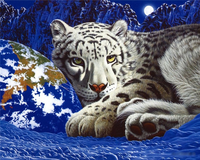 ТИГР - белый тигр, животные, зима, глобус, взгляд - оригинал