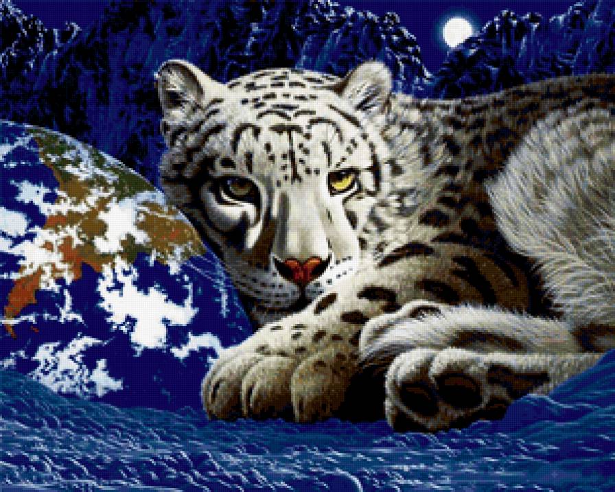 ТИГР - зима, животные, глобус, белый тигр, взгляд - предпросмотр