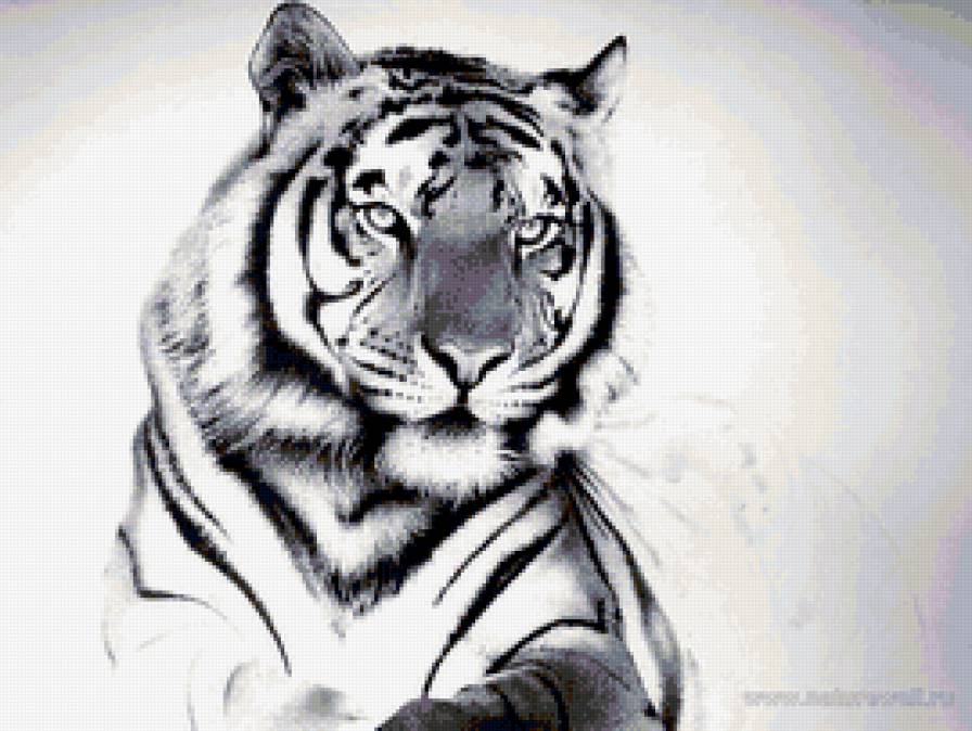 Белый тигр - животные, белый тигр, тигр - предпросмотр