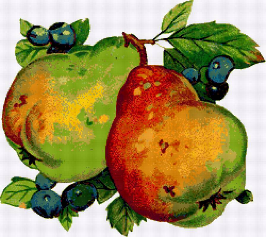 Груши - фруктовое панно, груша, груши, черника, фрукты, урожай - предпросмотр