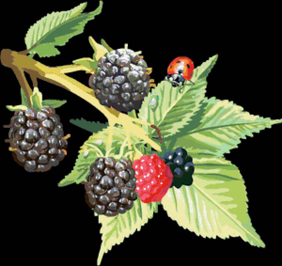 Ежевика и божья коровка - фруктовое панно, фрукты, урожай, ягодки, ежевика, ягоды - предпросмотр