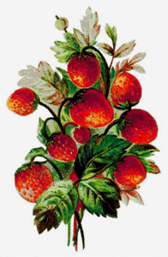 Земляника - клубника, ягоды, земляника, урожай, панно, ягодки - предпросмотр