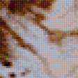 Предпросмотр схемы вышивки «Золотой тигр» (№216184)