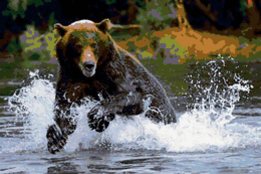 Бурый медведь - медведь, животные - предпросмотр