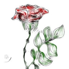 Оригинал схемы вышивки «роза» (№216873)