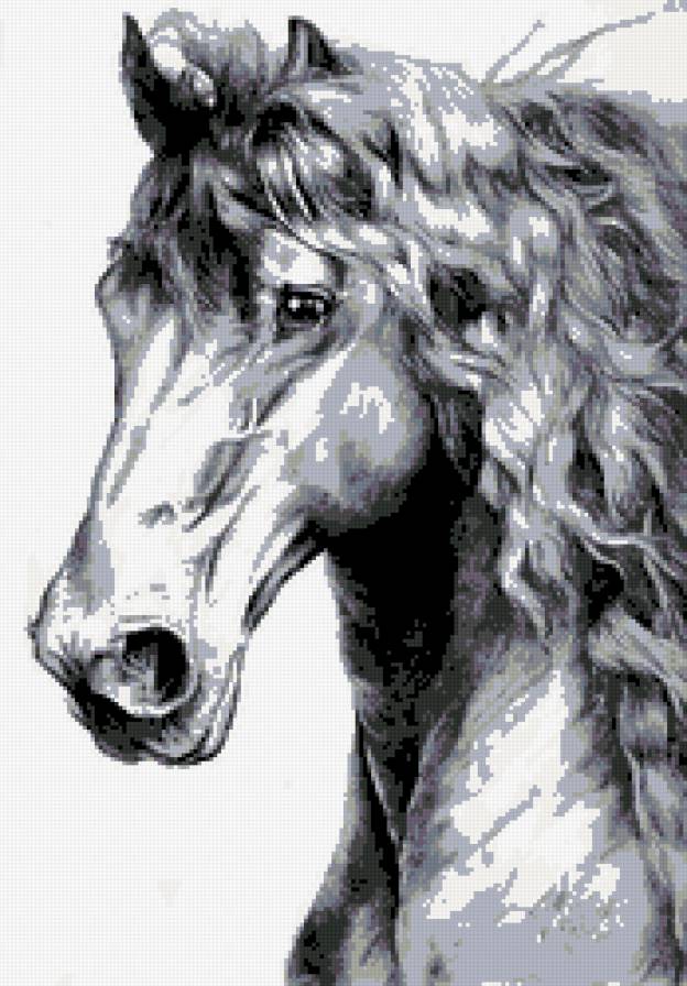 лошадка - лошади, черно-белое, конь, животные, лошадь, кони, рисунок - предпросмотр