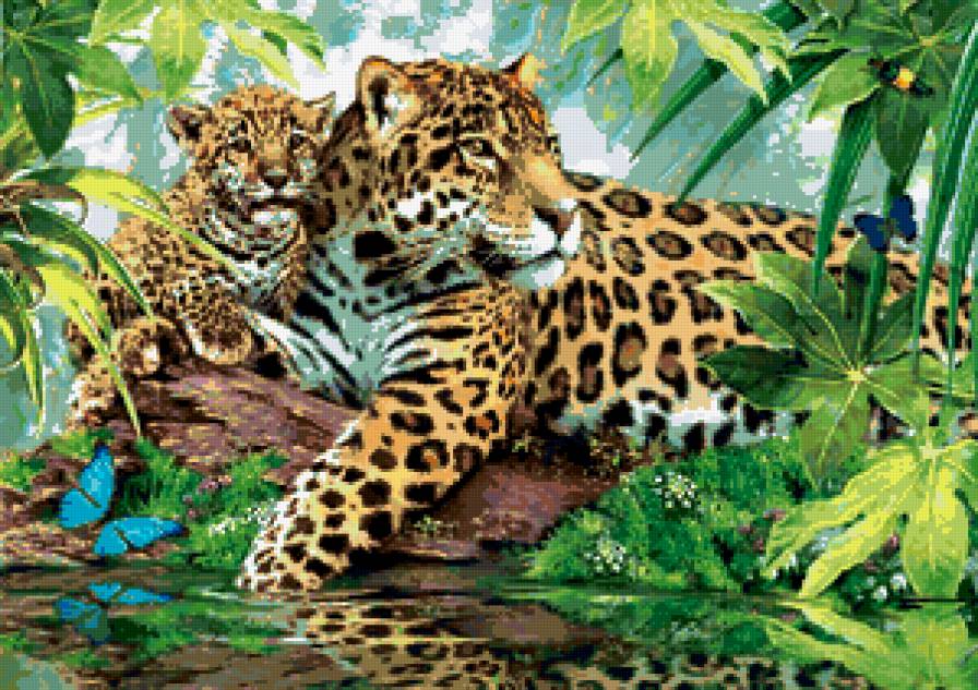 леопарды - кошки, леопард, хищники, природа, животные, лео - предпросмотр