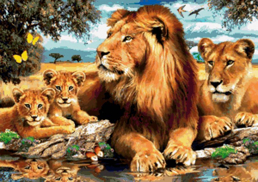 львинная семья - природа, львята, львы, сафари, кошки, животные, лев, львица, хищники - предпросмотр