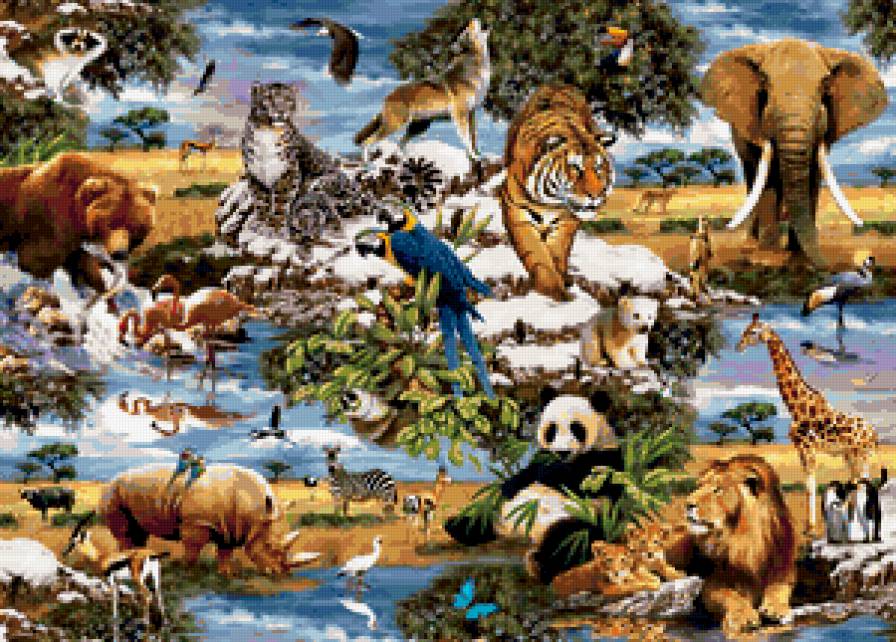 дикая природа - тигр, волк, птицы, попугай, лев, животные, хищники, кошки, слон, панда - предпросмотр
