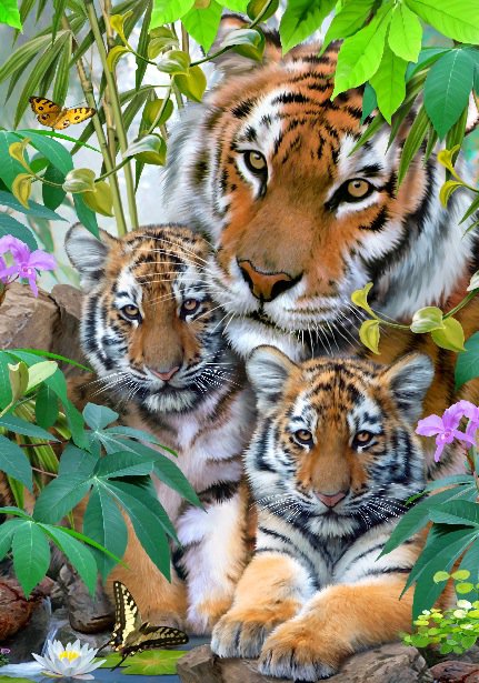 тигры - тигрята, тигр, кошки, животные, природа, хищники, тигренок - оригинал