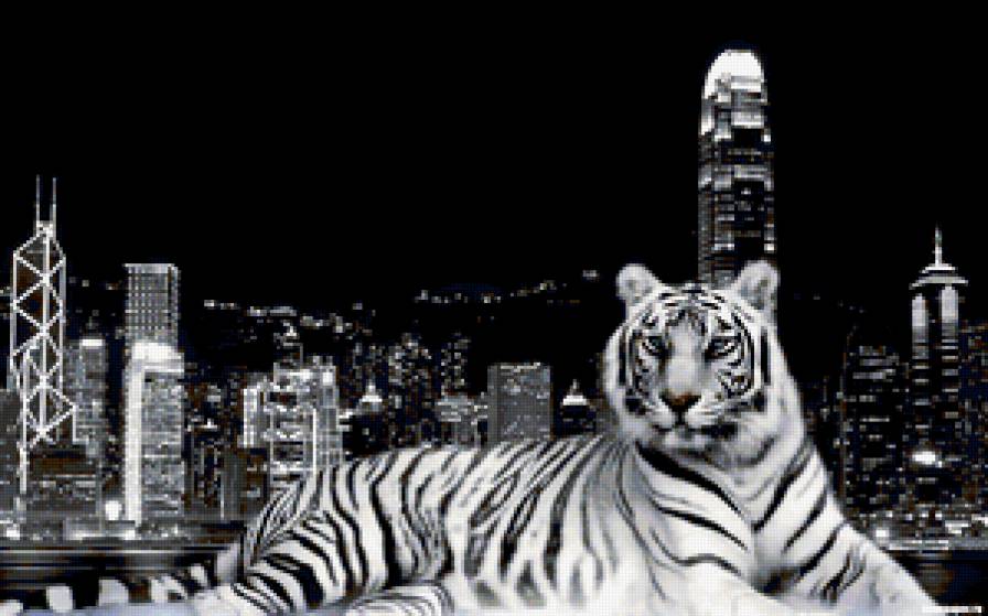 Белый тигр на фоне ночного города - тигр, белый тигр, ночной город - предпросмотр
