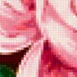 Предпросмотр схемы вышивки «цветы» (№218381)