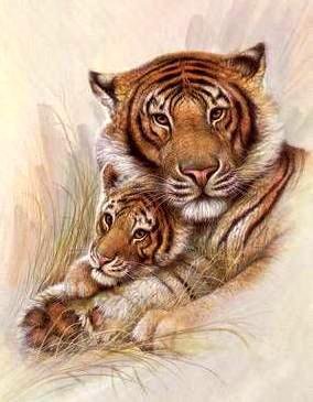 Тигры - животные, тигр - оригинал