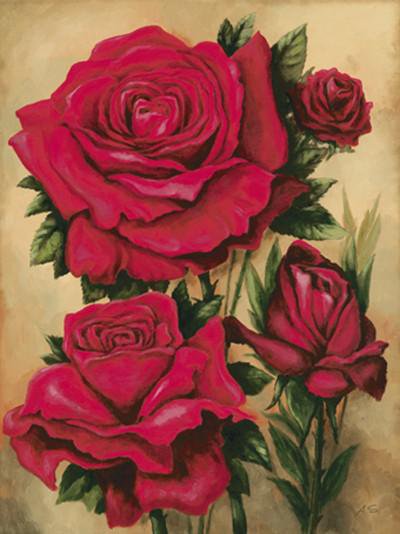 РОЗЫ - красная роза, букет, цветы - оригинал
