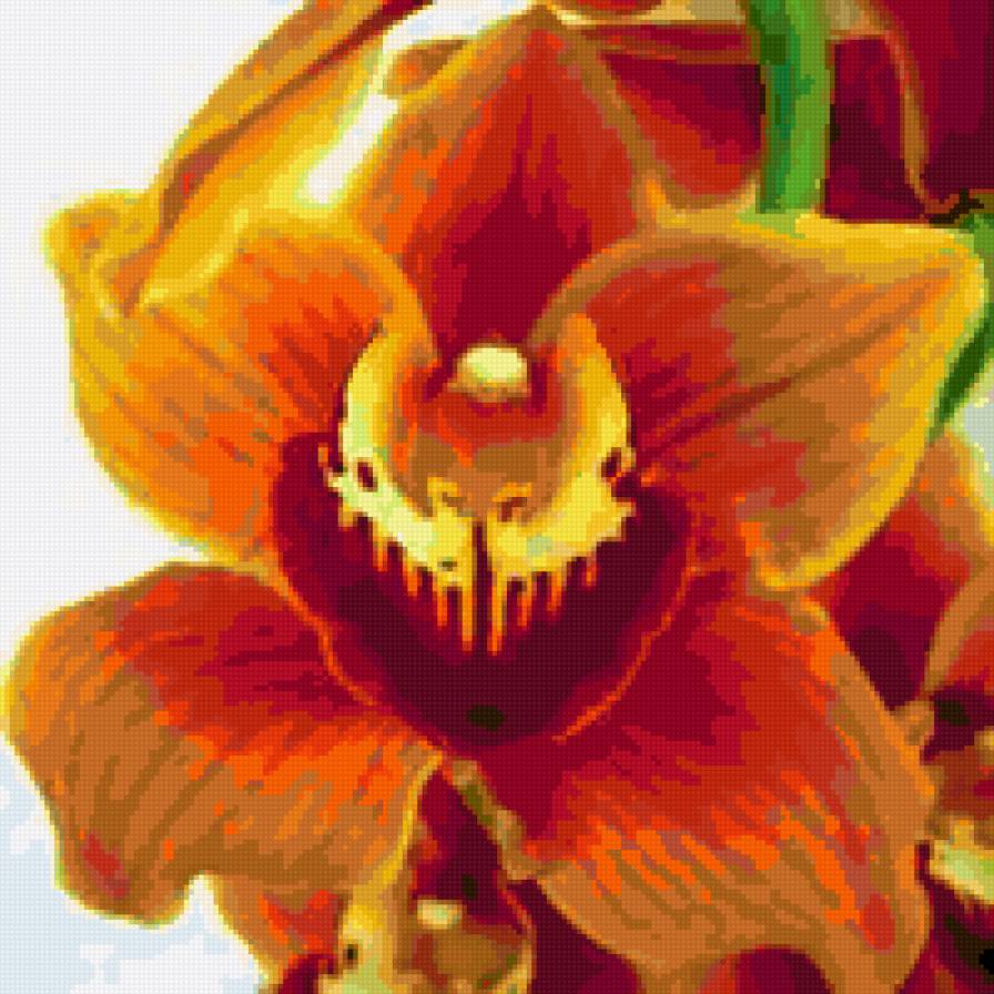 орхидея - оранжевая, орхидея, цветок, подушка - предпросмотр
