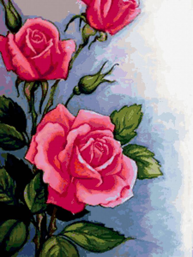РОЗЫ - розовые розы, цветы - предпросмотр